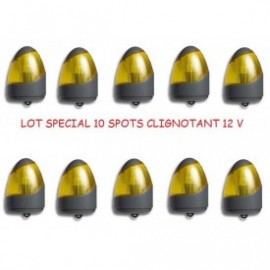 Clignotant,ampoule,12V,allducks